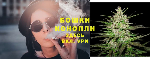 apvp Вязьма
