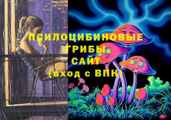 ALPHA PVP Вяземский