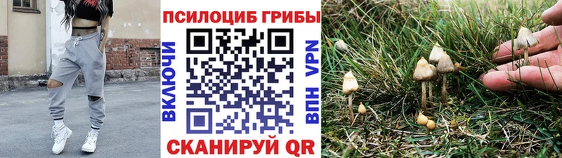 Купить где Облучье Псилоцибиновые грибы ЛСД